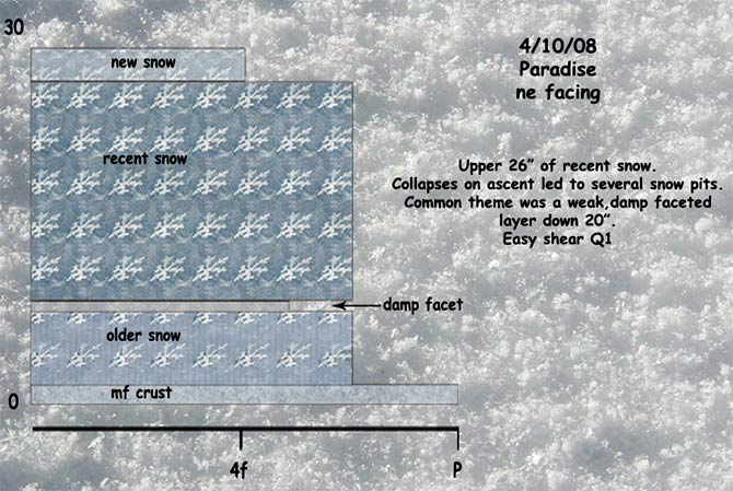 paradise snow pit profile